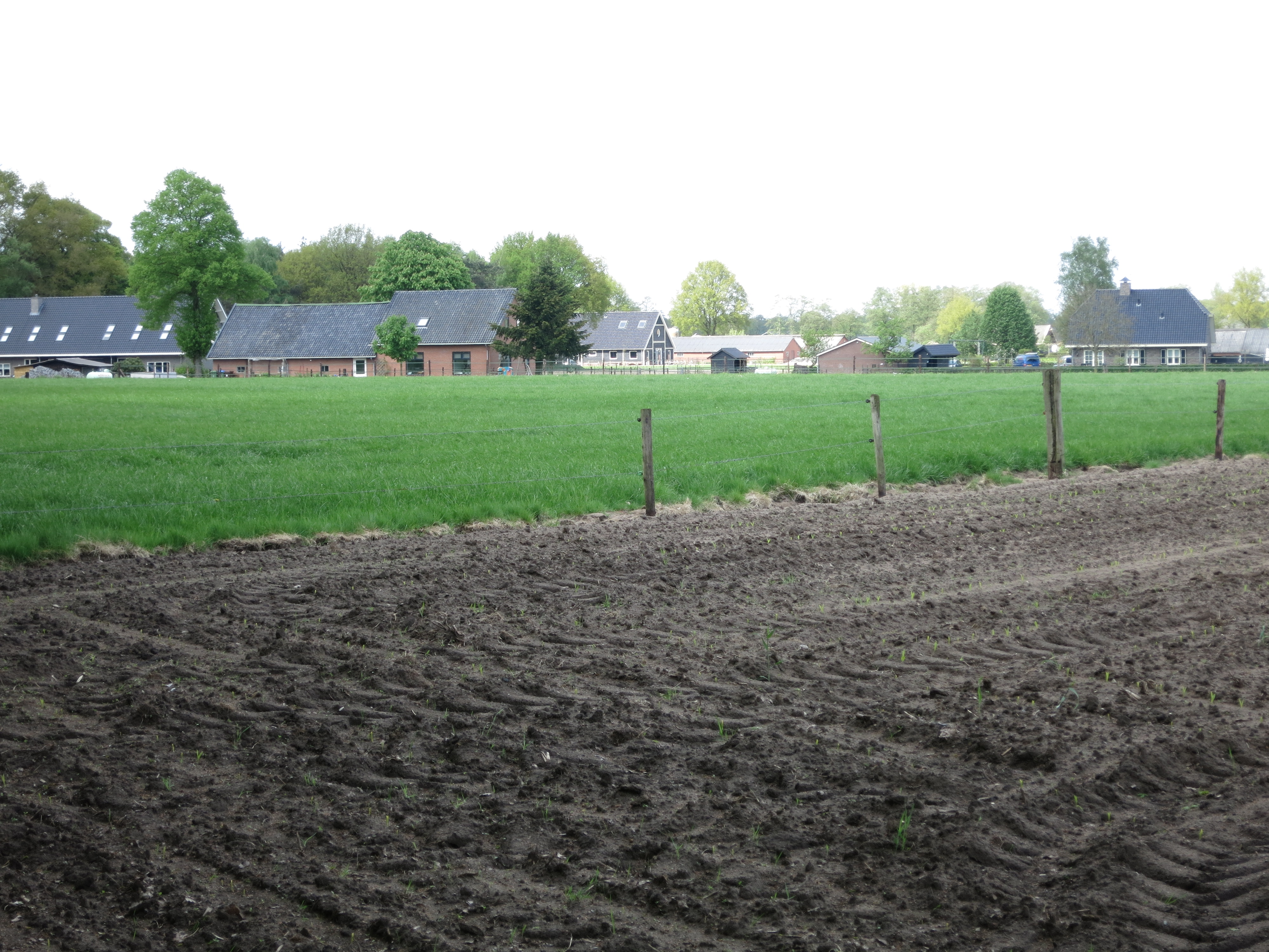 HWK Wekerom100.jpg